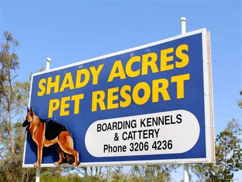 Shady acres kennel - Pet Resort Gallery. Check out some of our guests and residents enjoying their stay at Shady Acres Pet Resort. Luxurious and affordable boarding kennels and cattery in Sheldon, Brisbane. Extra care and attention for …